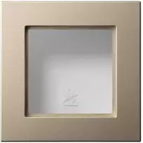 Liregus Paviršinio montavimo rėmas EPSILON, šampano sp.