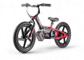 Toycars Elektrinis balansinis dviratis, 24V 250W, 118x53x63 cm, Raudonas