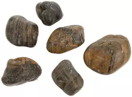 Ultimate Products Poliruoti „Tiger Pebble“ akmenukai 30–50 mm akvariumo terariumui, 10 kg/pak.
