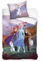 Patalynės komplektas FROZEN STORY, 140x200 cm
