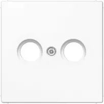TV/R antenos lizdo / mechanizmo apdaila LS990 JUNG LS990TVWW (balta)