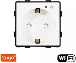 Kištukinis lizdas su sąnaudu matuokliu Feelspot, WiFi Tuya