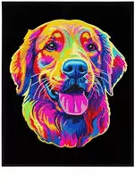 DIAMOND DOTZ Diamond Dotz – suaugusiems flokuotas neoninis auksinis retriveris
