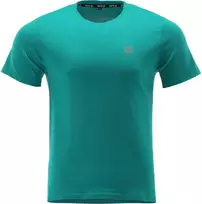 Toya Sa Poland BASIC marškinėliai | žali | 100% medvilnė | 3XL dydis (YT-78493)