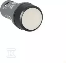 ABB CP1-10W-10-ĮGALVOTAS MYGTUKAS 1 NĖRA BALTO