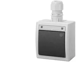 Elektro Plast Nasielsk JUNGTIES ŠVIETIMAS N/T IP65 AQUAN Pilkas