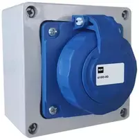 Elektro Plast Nasielsk 6180-00 Paviršinio montavimo lizdas 2P+Z 16/250 IP65 korpuse 105-105-66, su PG-13 sandarikliu 6180-00