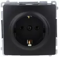 Kontakt Simon BMGSZ1.01/49 Simon Basic Lizdas su įžeminimu Schuko (modulis) 16A, 250V, varžtiniai gnybtai juodi BMGSZ1.01/49