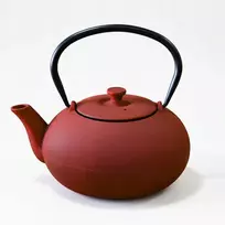 NOMI ketaus virdulys su užpilu, 800 ml