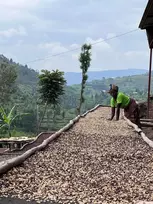 Kavos pupelės Muhabura Kavos pupelės RWANDA MUHABURA NATURAL ESPRESSO 1kg
