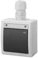 Elektro Plast Nasielsk 5007-65 AQUANT 2K ant paviršiaus montuojamas jungiklis, valdomas raktu, IP65, pilkas 5007-65