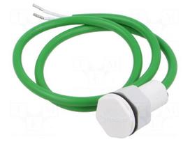 Probe light | on panel | IP67 | -40÷70°C