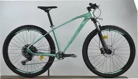 Dviratis kalnų, 29 ", 15" rėmas, žalia sp.
