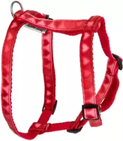 Barry King „Love Heart“ petnešos, 16 mm / kaklas 20–50 cm, pilvas 40–60 cm, raudonos su širdelėmis