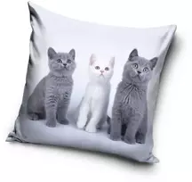 Dekoratyvinis pagalvės užvalkalas „Kačių trio“, 40x40 cm, aksomas