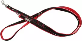 BarryKing Šuns pavadėlis, šuns raštas, šviesą atspindinti dviguba neo juosta, 20 mm / 220 cm, raudonas
