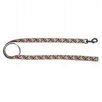 BarryKing Havajų juostinis šunų pavadėlis 16 mm / 120 cm