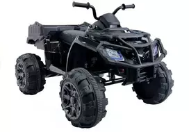 Elektrinis keturratis vaikams Quad BDM 0909 24V, juodas