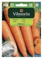 Vilmorin Morkų sėklos ant juostelės 7m BERLIKUMER 2