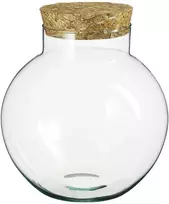 Augalų terariumas Ø25.5cm H25cm stiklinis