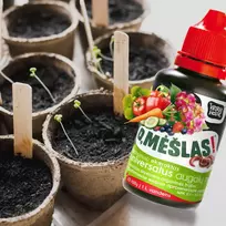 Universalios biohumuso trąšos O Mesli Worm house 100ml