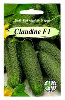 Agrimatco Agurkų sėklos 12vnt. Claudine
