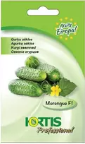 Agurkų sėklos Hortis 10 sėklų Merengue