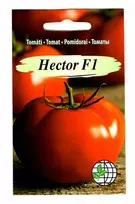 Agrimatco Pomidorų sėklos 10vnt. Hector