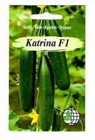 Agrimatco Agurkų sėklos 3vnt. Katrina