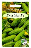 Agrimatco Agurkų sėklos 12vnt. Excelsior