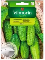 Vilmorin Agurkų sėklos 7m HELA