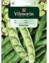 Vilmorin Lauko pupų sėklos 40g WINDSOR