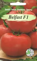 Agrimatco Pomidorų sėklos 7 sėklos Belfast
