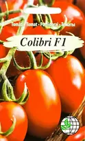 Agrimatco Pomidorų sėklos 6vnt. Colibri
