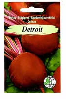 Agrimatco Burokėlių sėklos 5g Detroit