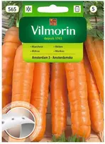 Vilmorin Morkų sėklos ant juostelės 7m Amsterdam 3