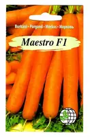 Agrimatco Morkų sėklos 200vnt. Maestro
