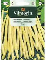 Vilmorin Šparaginių pupelių sėklos 20g VICTOR žemosios