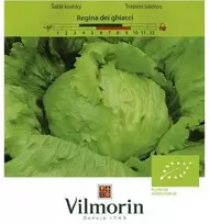 Vilmorin Salotų sėklos 1g Regina dei ghiacci
