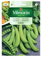 Žirnių sėklos Vilmorin 40g Ambrosia