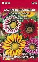 Nojaus Gazanijų sėklos 0.2g