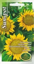 Kurzemes Seklas Saulėgrąžų sėklos 2g Sunspot