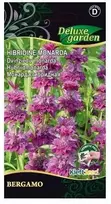 Hibridinių monardų sėklos Delux Garden 0.1g Bergamo