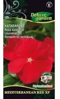 Nojus Katarantų sėklos 10 sėklos Mediterr. XP HotRose