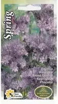 Kurzemes Seklas Facelijų sėklos 0.5g Spring