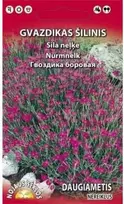 Nojaus Gvazdikų sėklos 0.2g