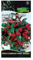 Šliaužiančiųjų gaulterijų sėklos Delux Garden 20vnt. Procumbens Very Ber.