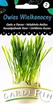 Vilmorin Avižų sėklos Velykinės Garderin 7.5g