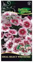 Šiurpinių gvazdikų sėklos Delux Garden 10vnt. Whitefire