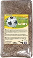 Pakavs Vejos sėklų mišinys 1kg Active